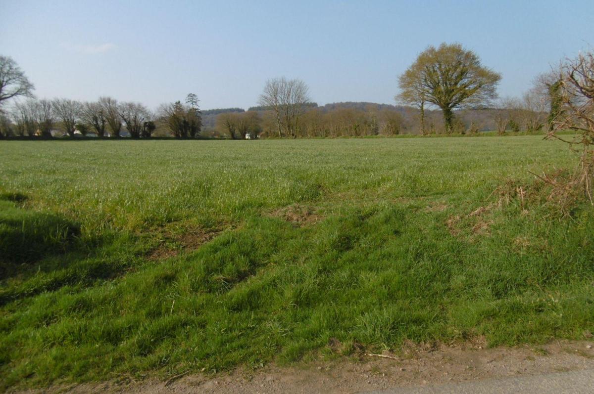 terrain en Vente à Saint-Manvieu-Bocage (14380)