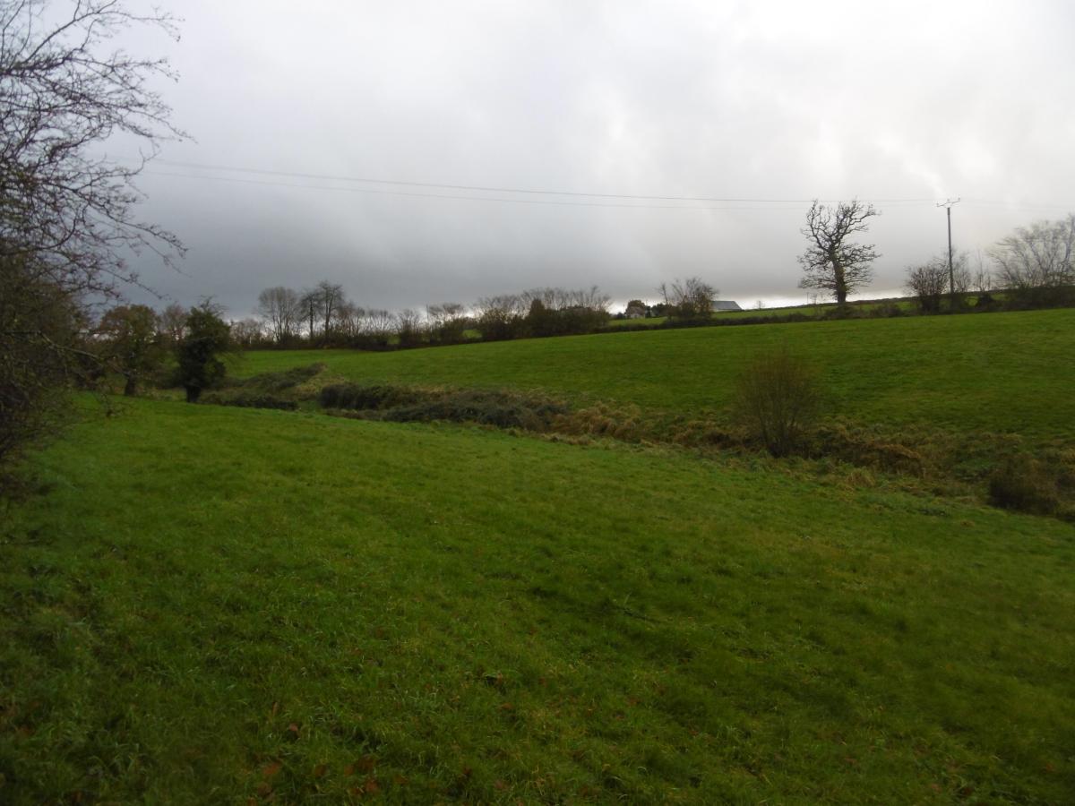 terrain en Vente à Saint-Ouen-des-Besaces (14350)