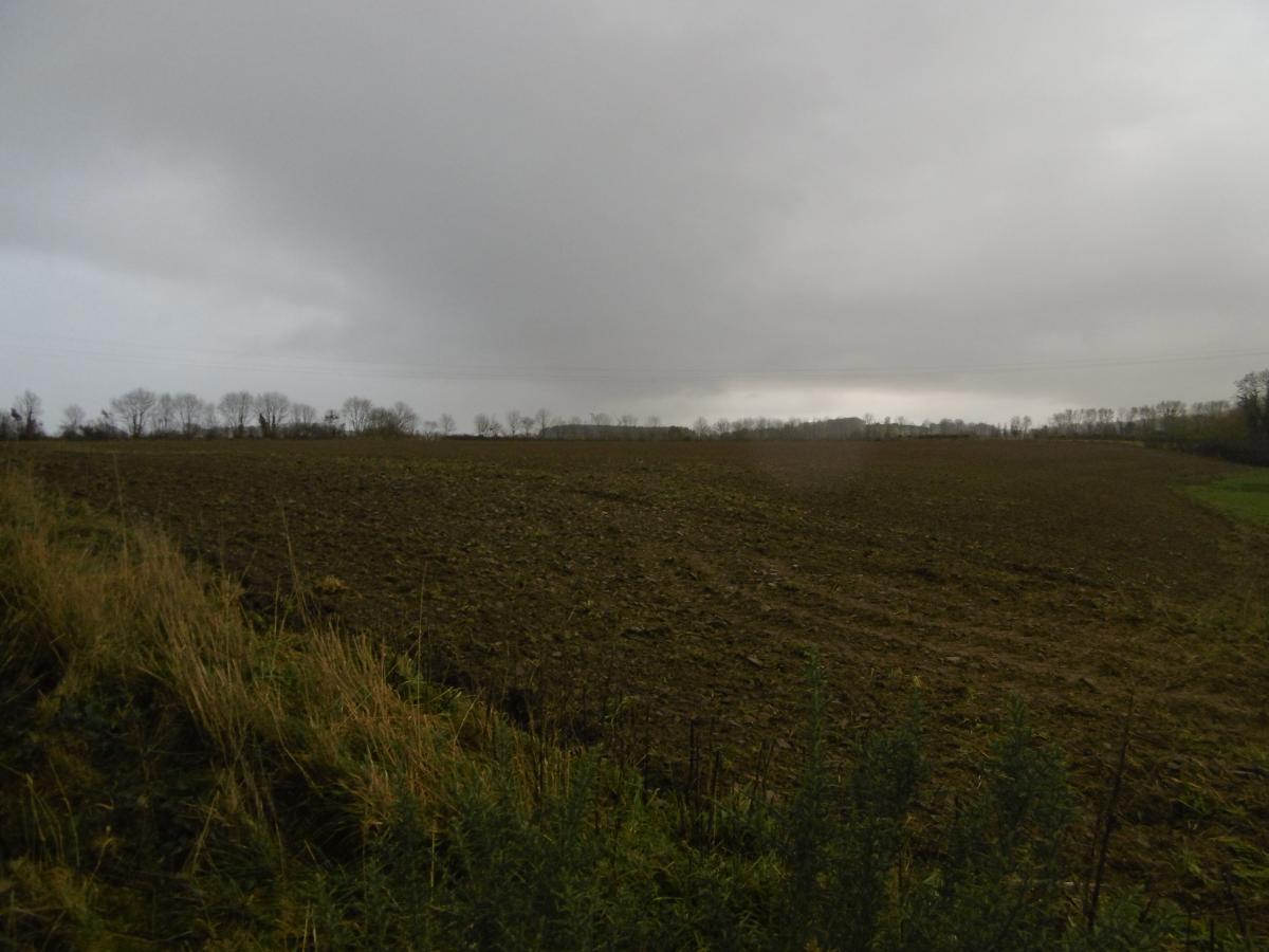 terrain en Vente à Saint-Ouen-des-Besaces (14350)