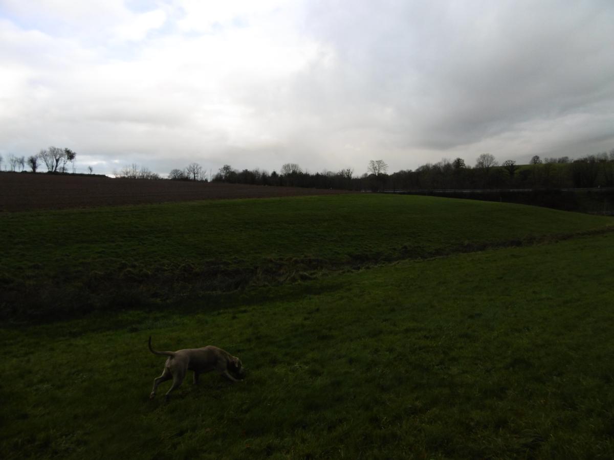 terrain en Vente à Saint-Ouen-des-Besaces (14350)