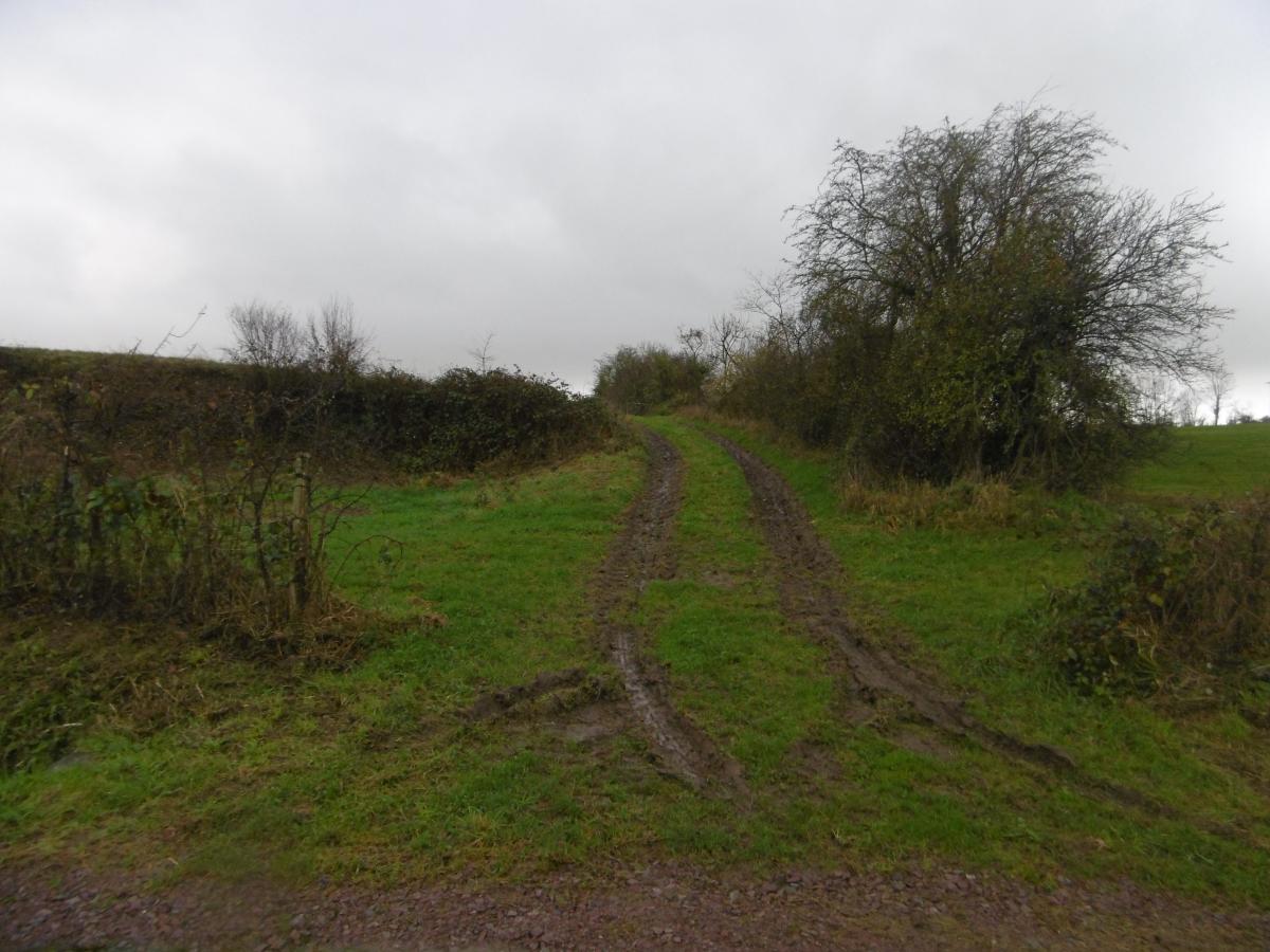 terrain en Vente à Saint-Ouen-des-Besaces (14350)