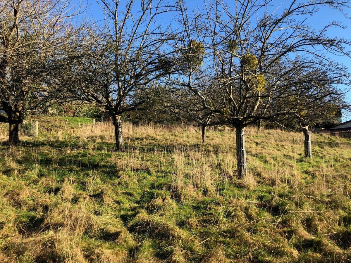 terrain en Vente à Roullours (14500)