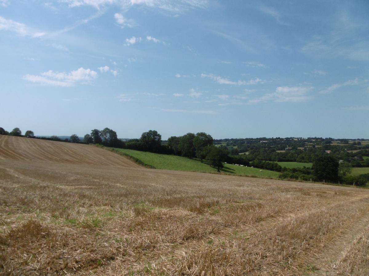 terrain en Vente à Montchauvet (14350)