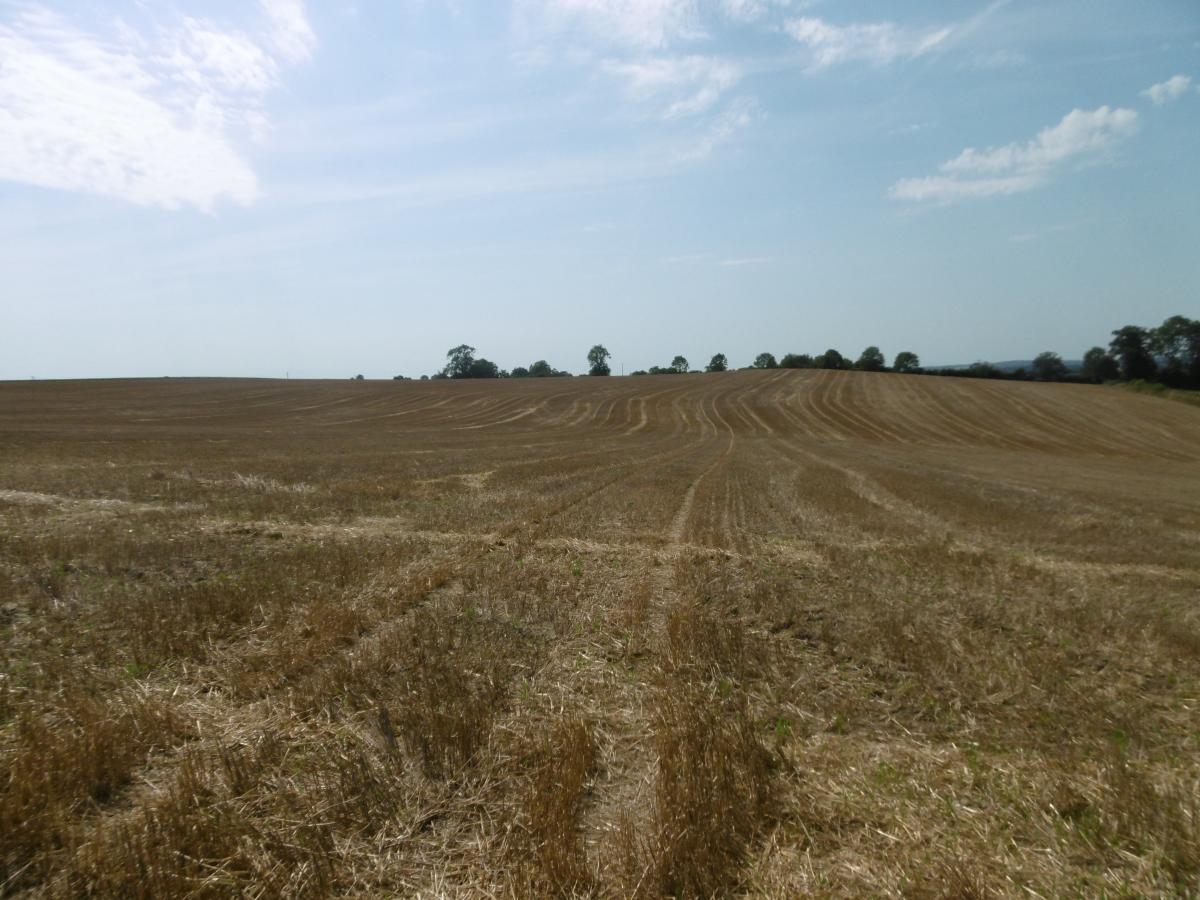 terrain en Vente à Montchauvet (14350)