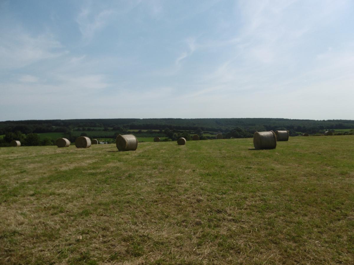 terrain en Vente à Montchauvet (14350)