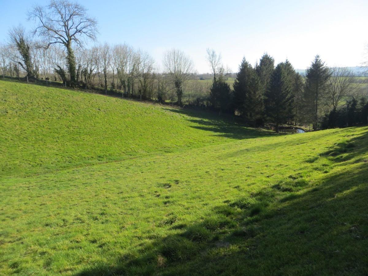 terrain en Vente à Saint-Martin-des-Besaces (14350)