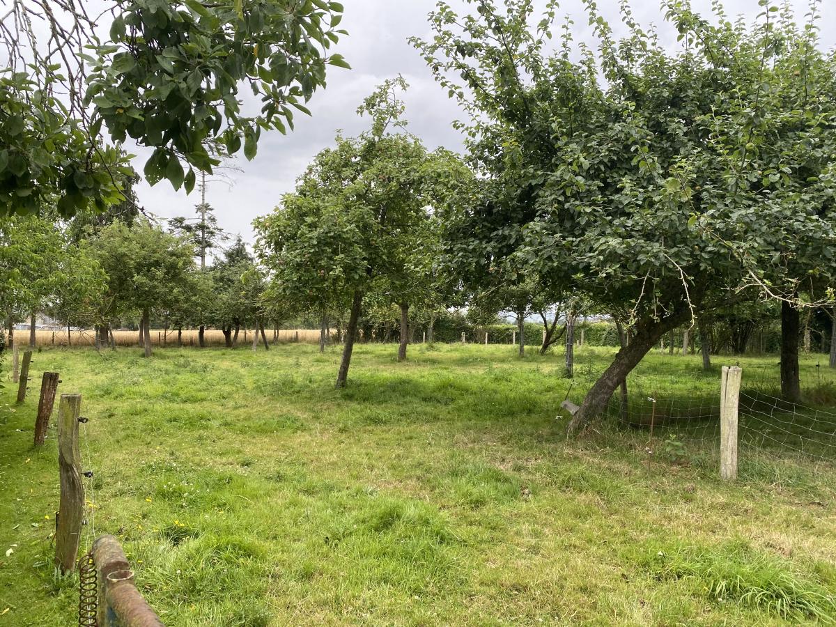 maison en Vente à Landelles-et-Coupigny (14380)