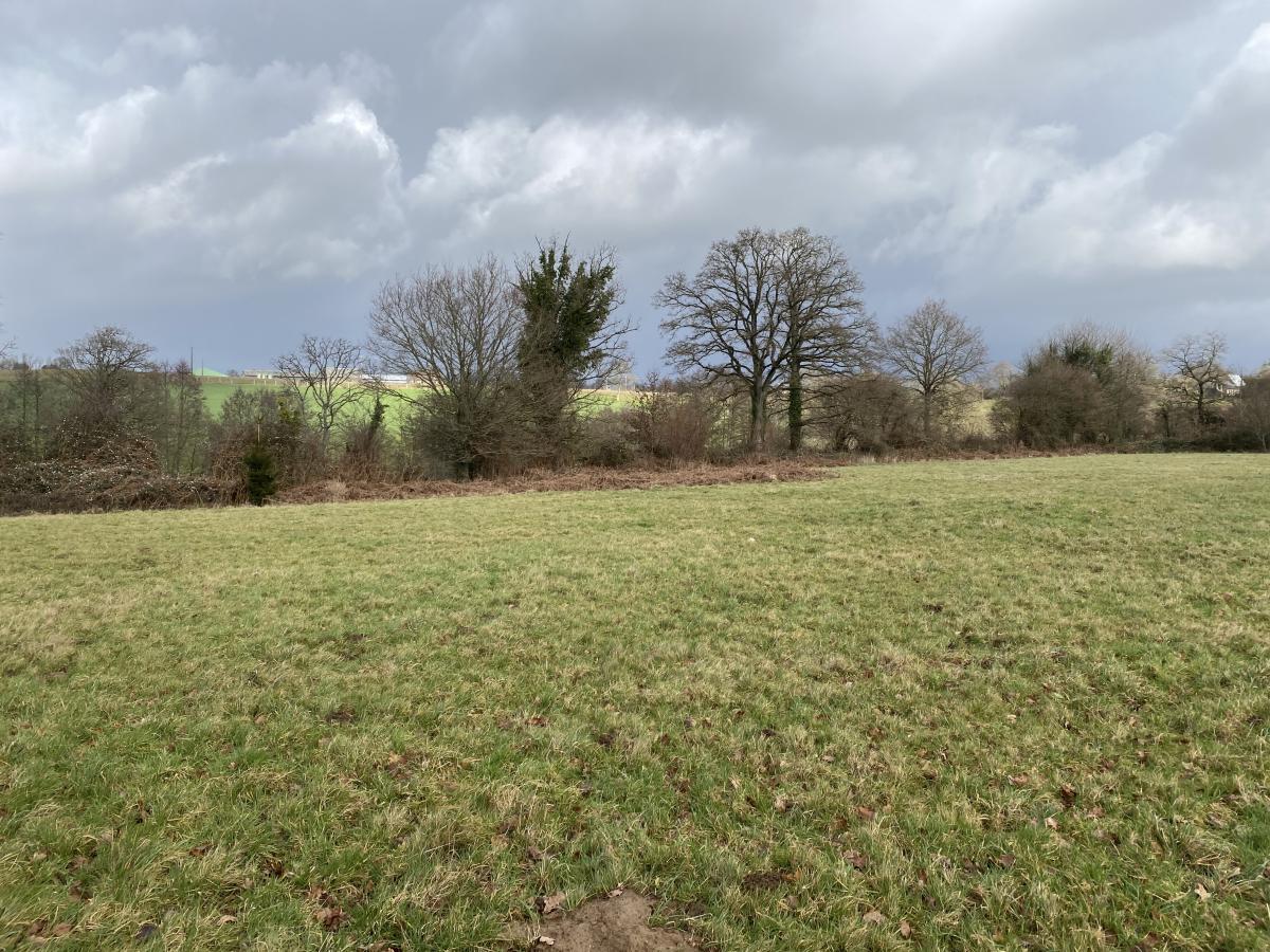 terrain en Vente à Mesnil-Clinchamps (14380)
