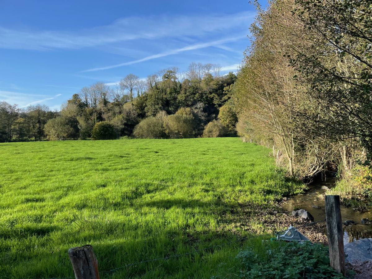 terrain en Vente à Saint-Martin-Don (14350)