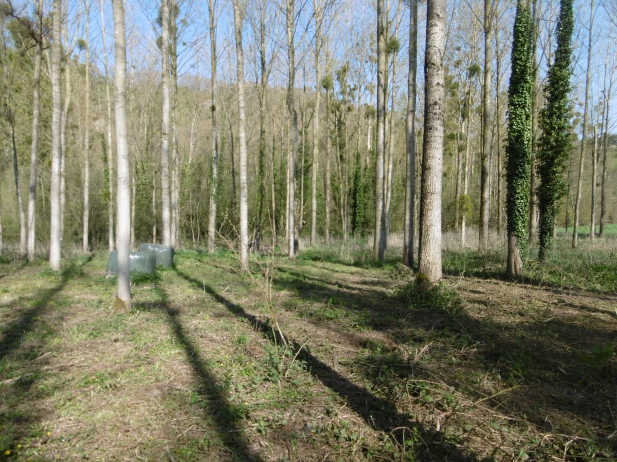 terrain en Vente à Pont-Farcy (50420)