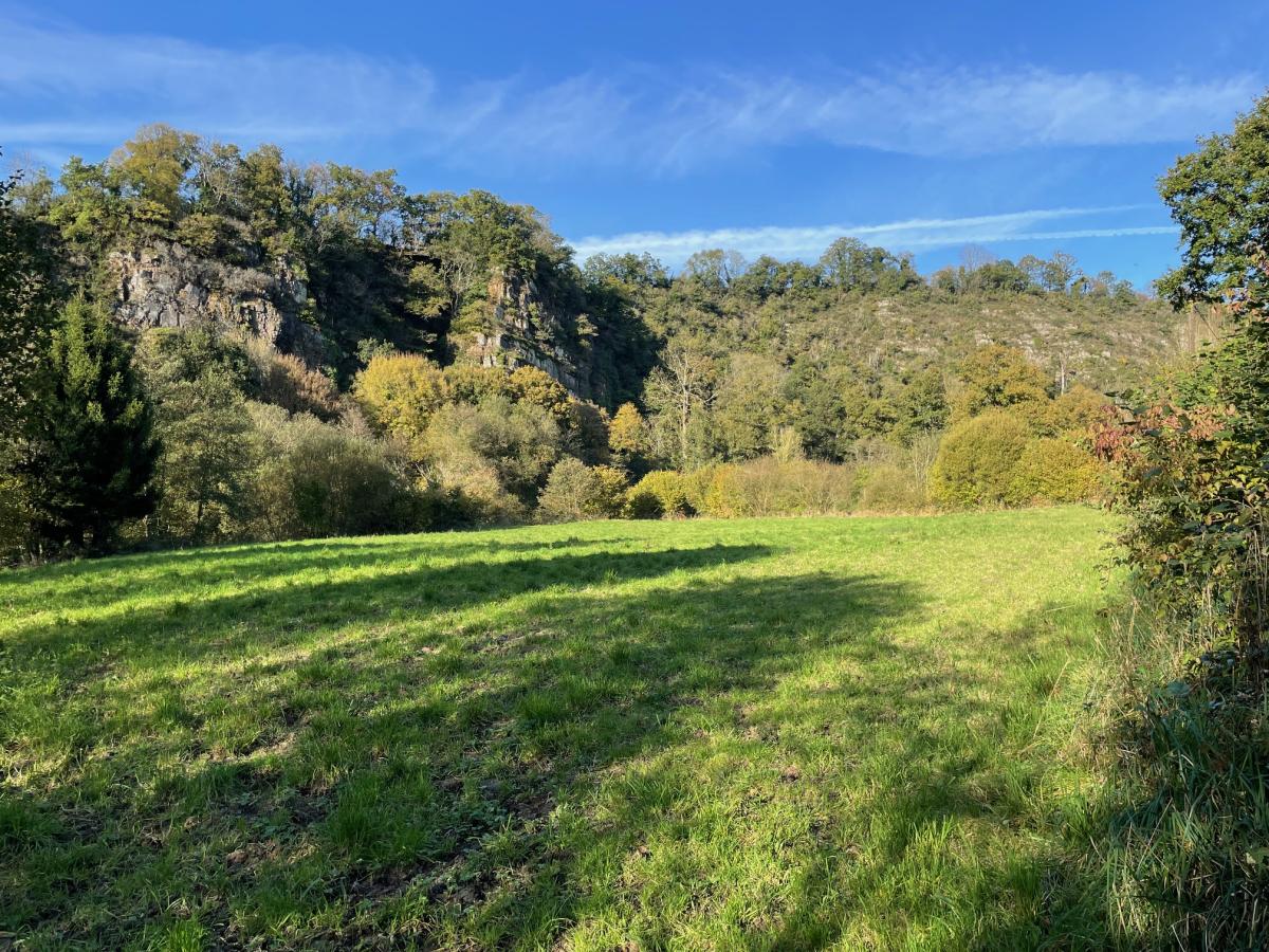 terrain en Vente à Saint-Martin-Don (14350)