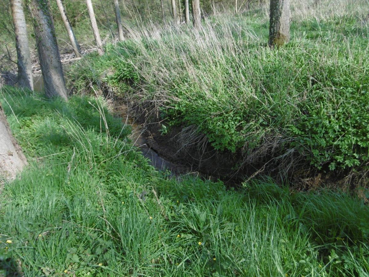 terrain en Vente à Pont-Farcy (50420)