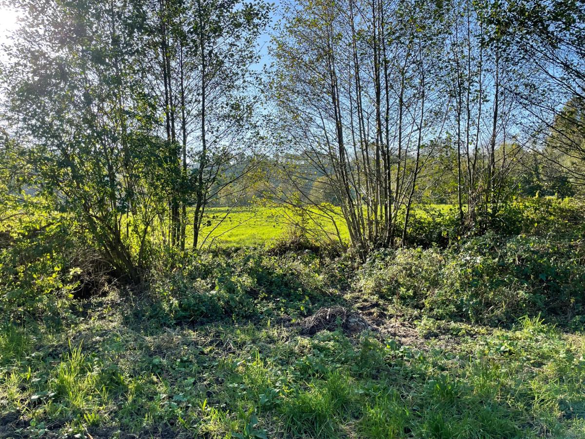 terrain en Vente à Saint-Martin-Don (14350)