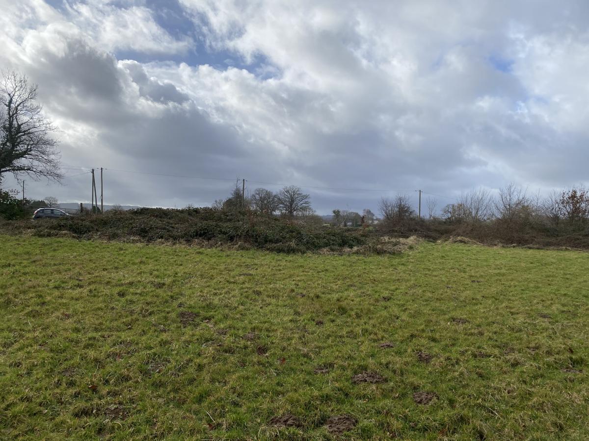 terrain en Vente à Mesnil-Clinchamps (14380)