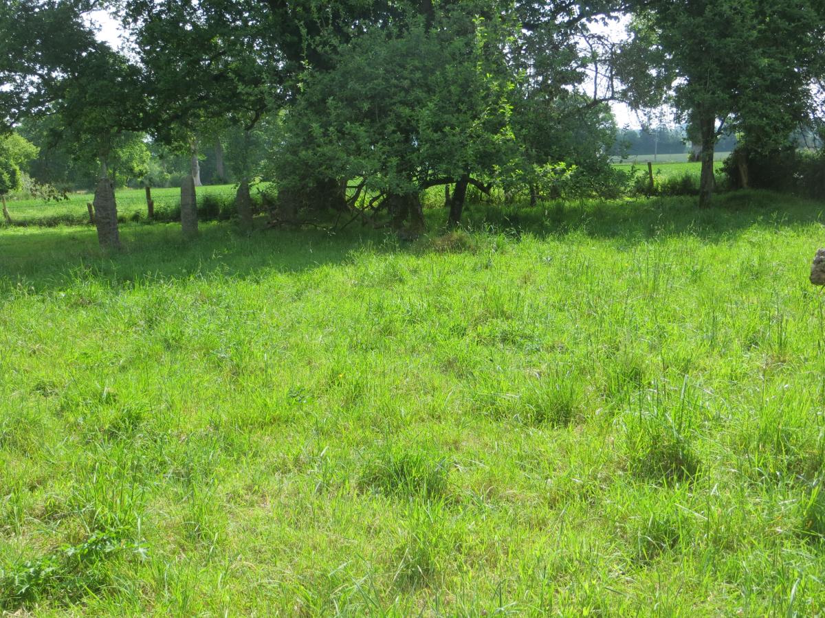 maison en Vente à Mesnil-Clinchamps (14380)