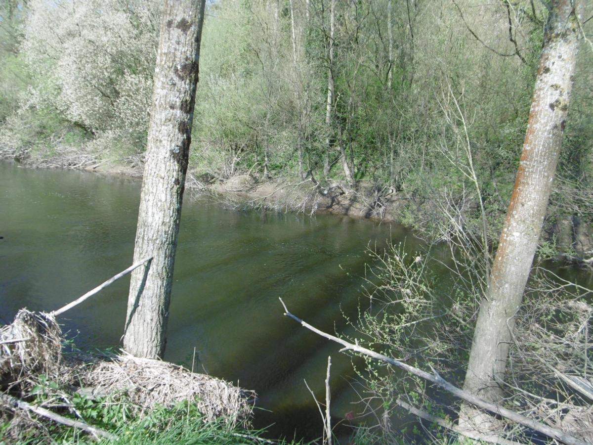 terrain en Vente à Pont-Farcy (50420)