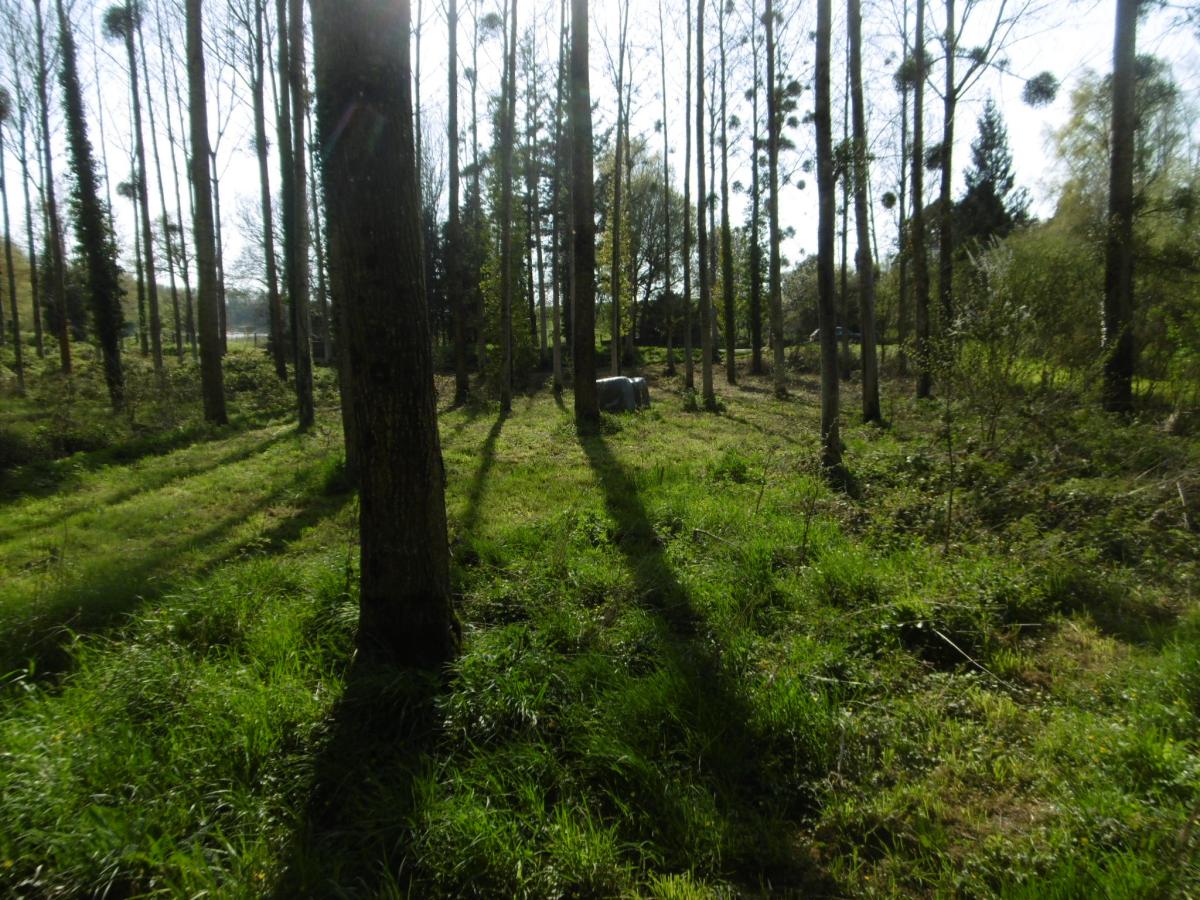 terrain en Vente à Pont-Farcy (50420)