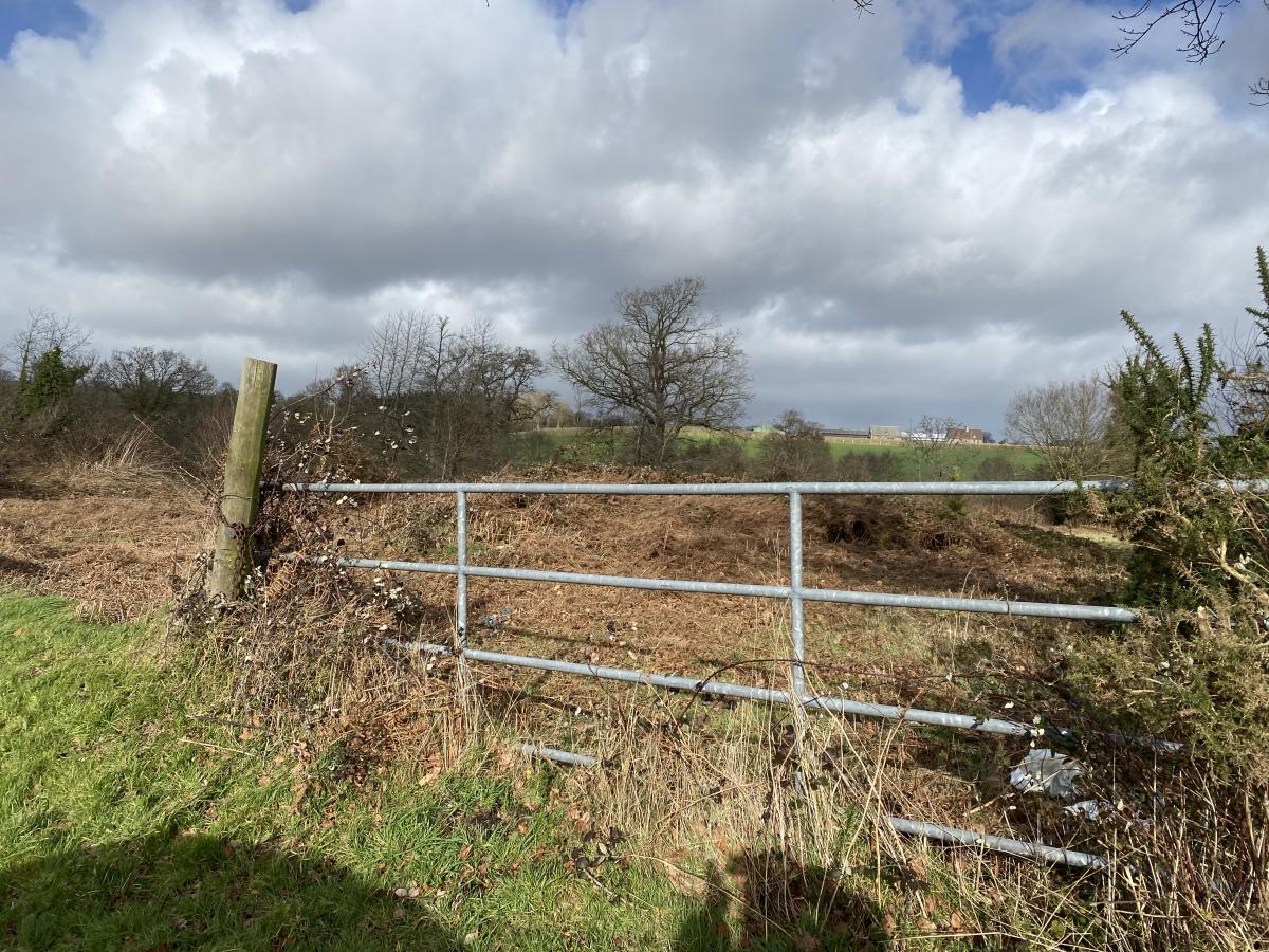 terrain en Vente à Mesnil-Clinchamps (14380)