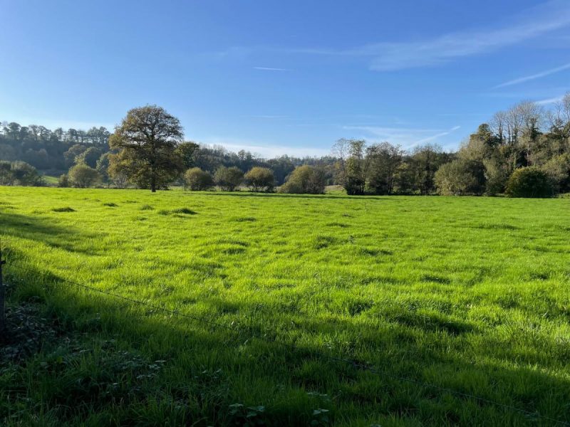 terrain en Vente à Saint-Martin-Don (14350)