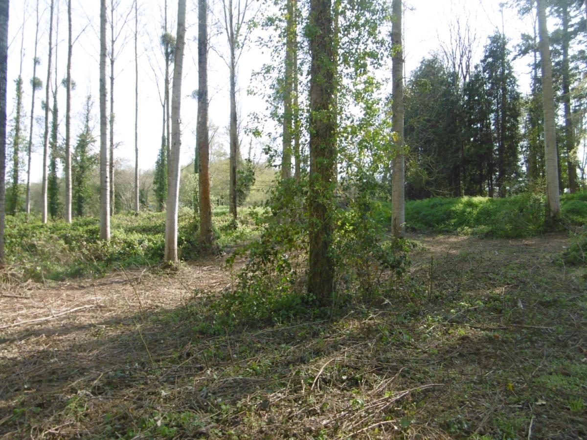 terrain en Vente à Pont-Farcy (50420)