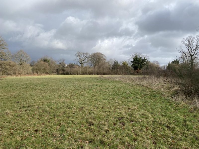 terrain en Vente à Mesnil-Clinchamps (14380)