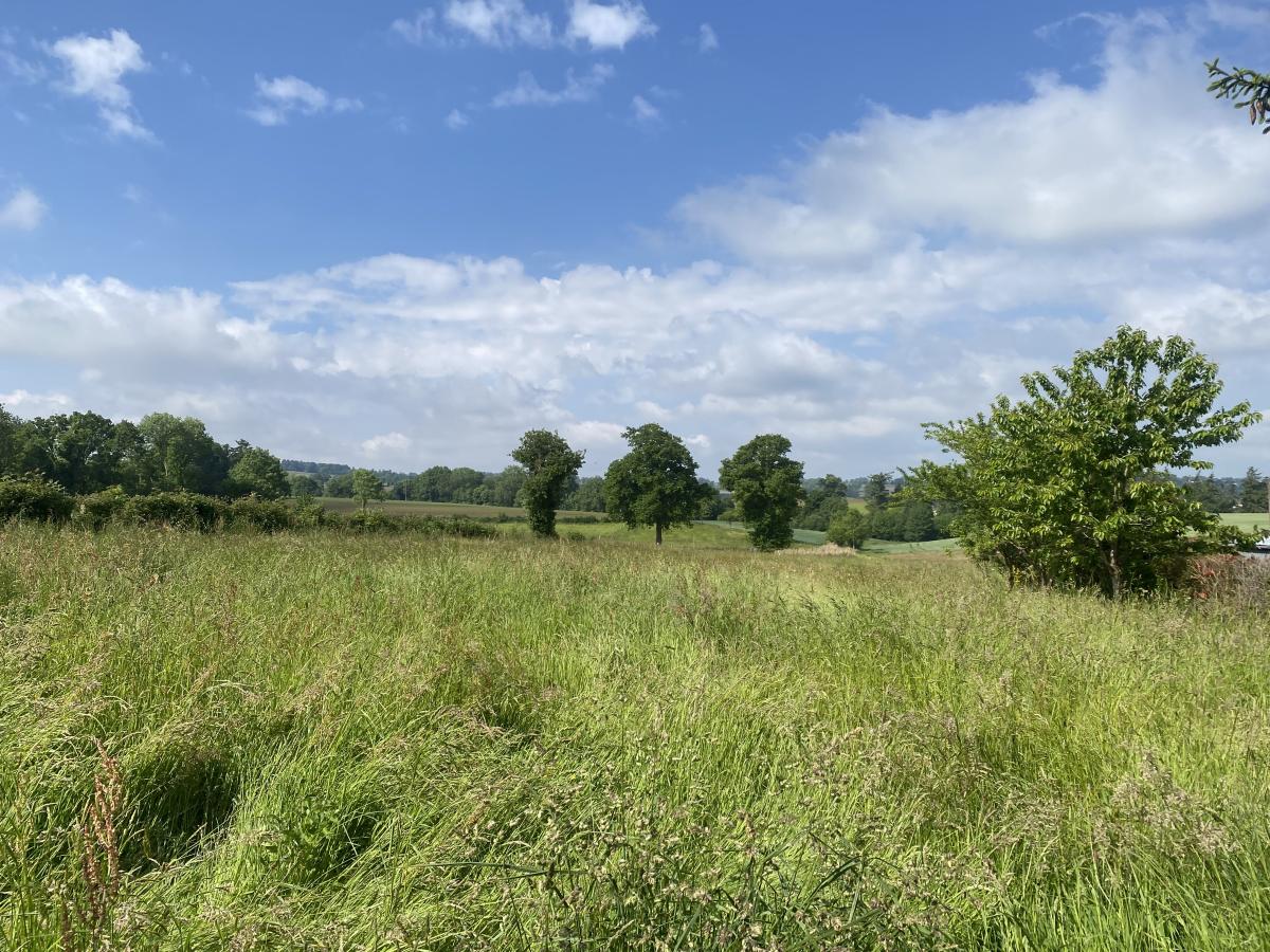 maison en Vente à Landelles-et-Coupigny (14380)