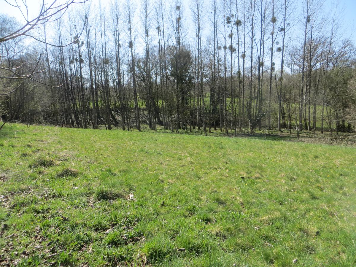 maison en Vente à Mesnil-Clinchamps (14380)