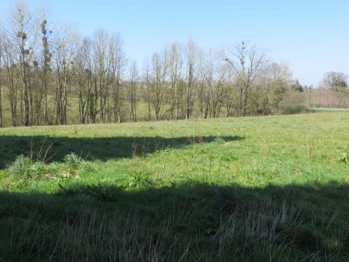 maison en Vente à Mesnil-Clinchamps (14380)