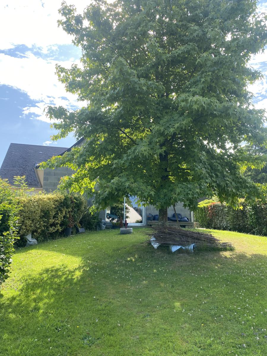 maison en Vente à Vire Normandie (14500)