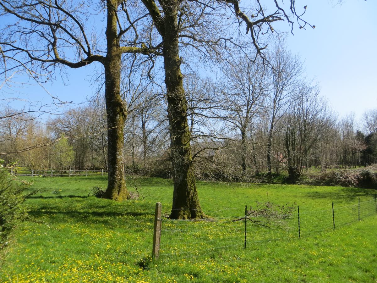 maison en Vente à Mesnil-Clinchamps (14380)