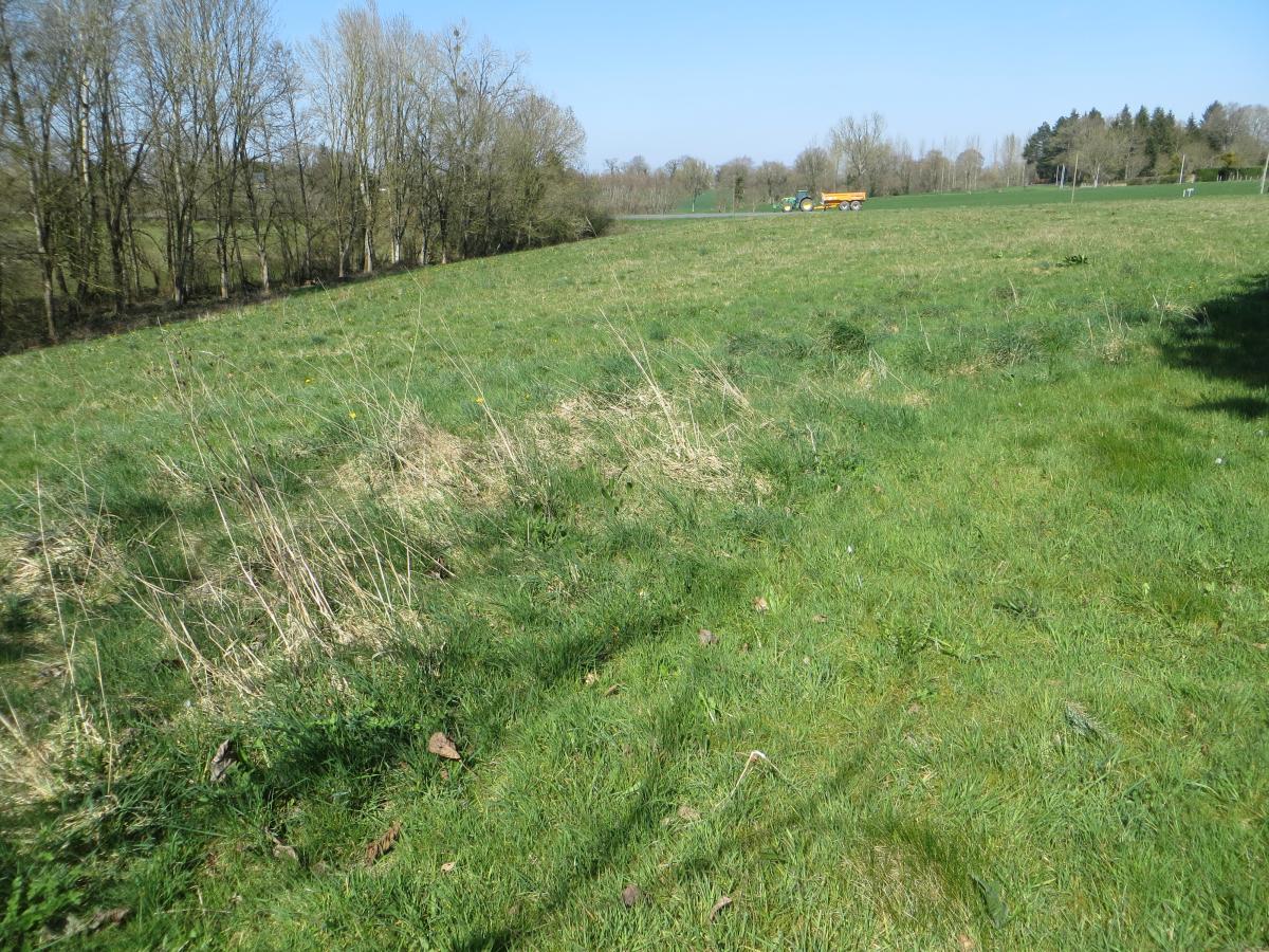 maison en Vente à Mesnil-Clinchamps (14380)
