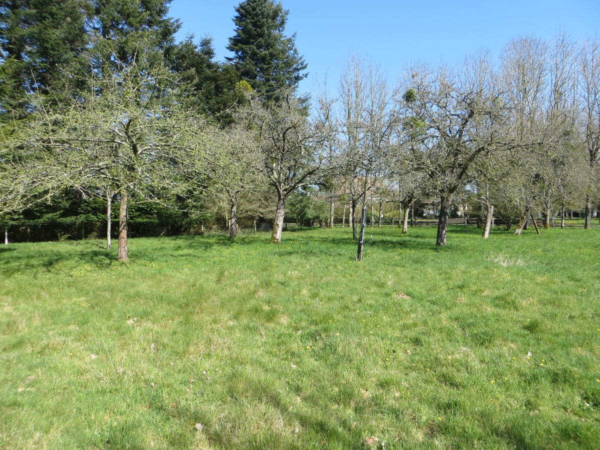 maison en Vente à Mesnil-Clinchamps (14380)