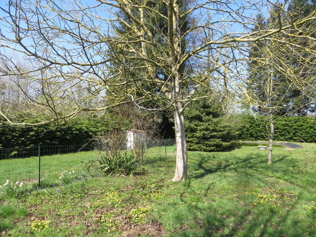 maison en Vente à Mesnil-Clinchamps (14380)