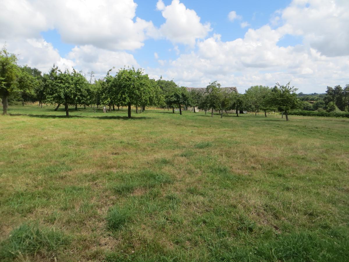 maison en Vente à Souleuvre en Bocage (14350)
