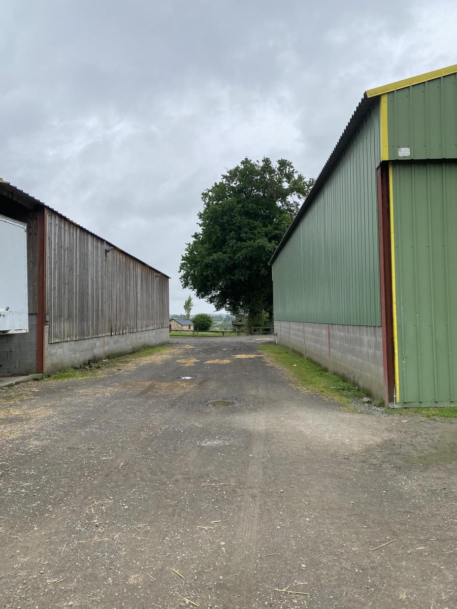 maison en Vente à La Colombe (50800)