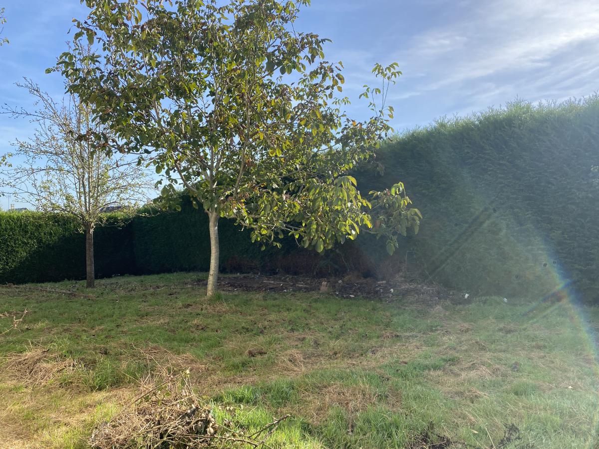 maison en Vente à Vire Normandie (14500)