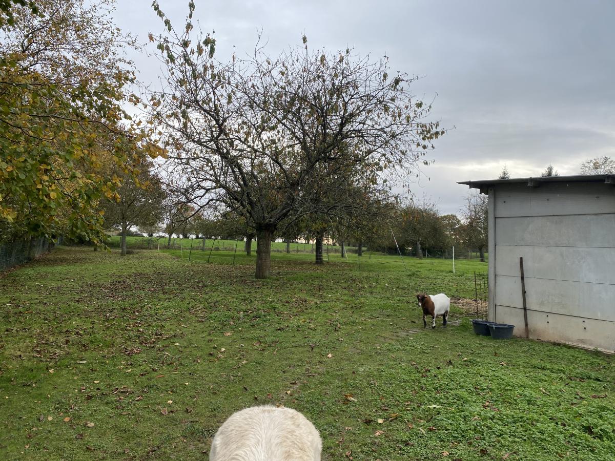 maison en Vente à Beaulieu (14350)