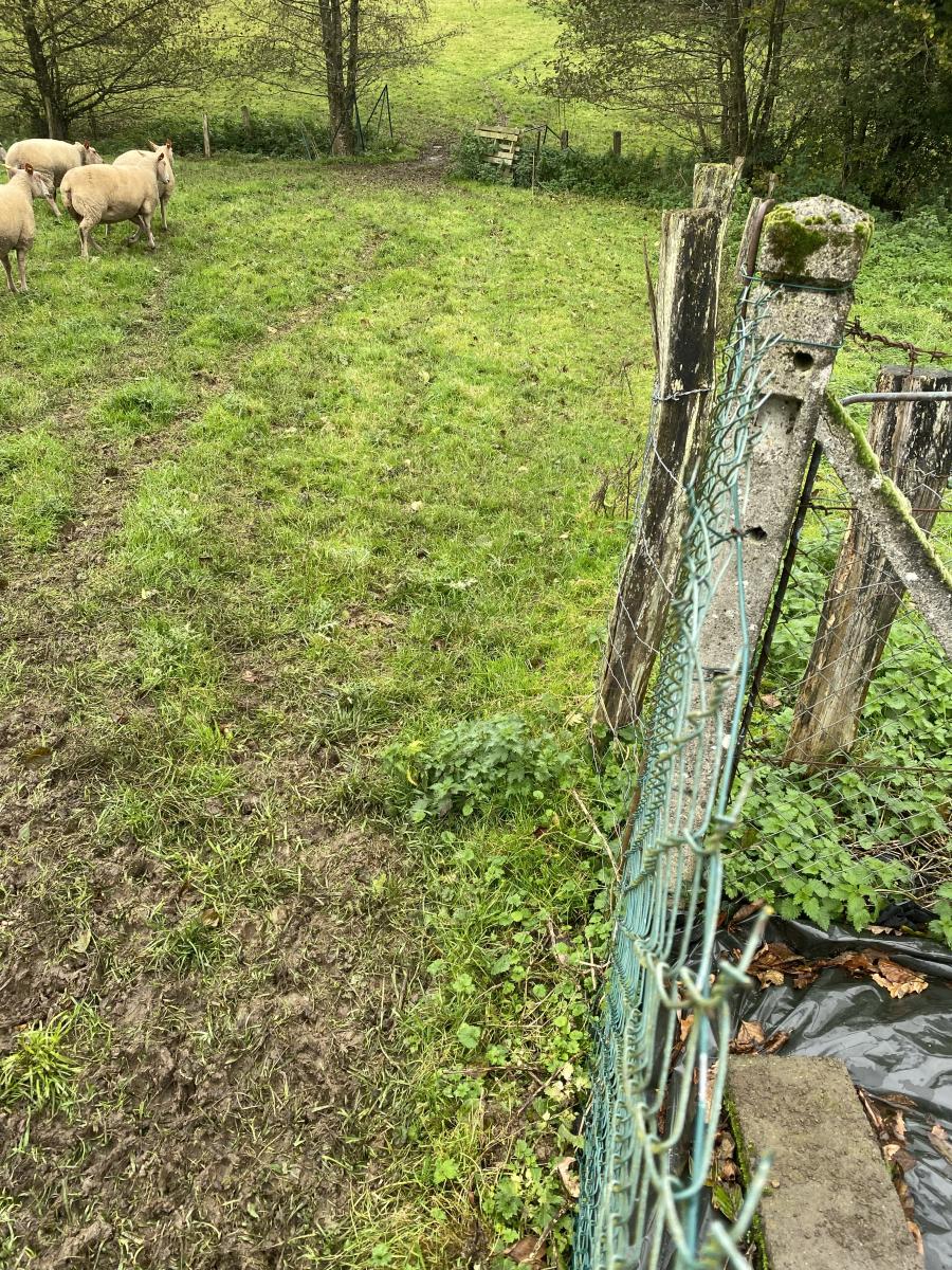 maison en Vente à Courson (14380)