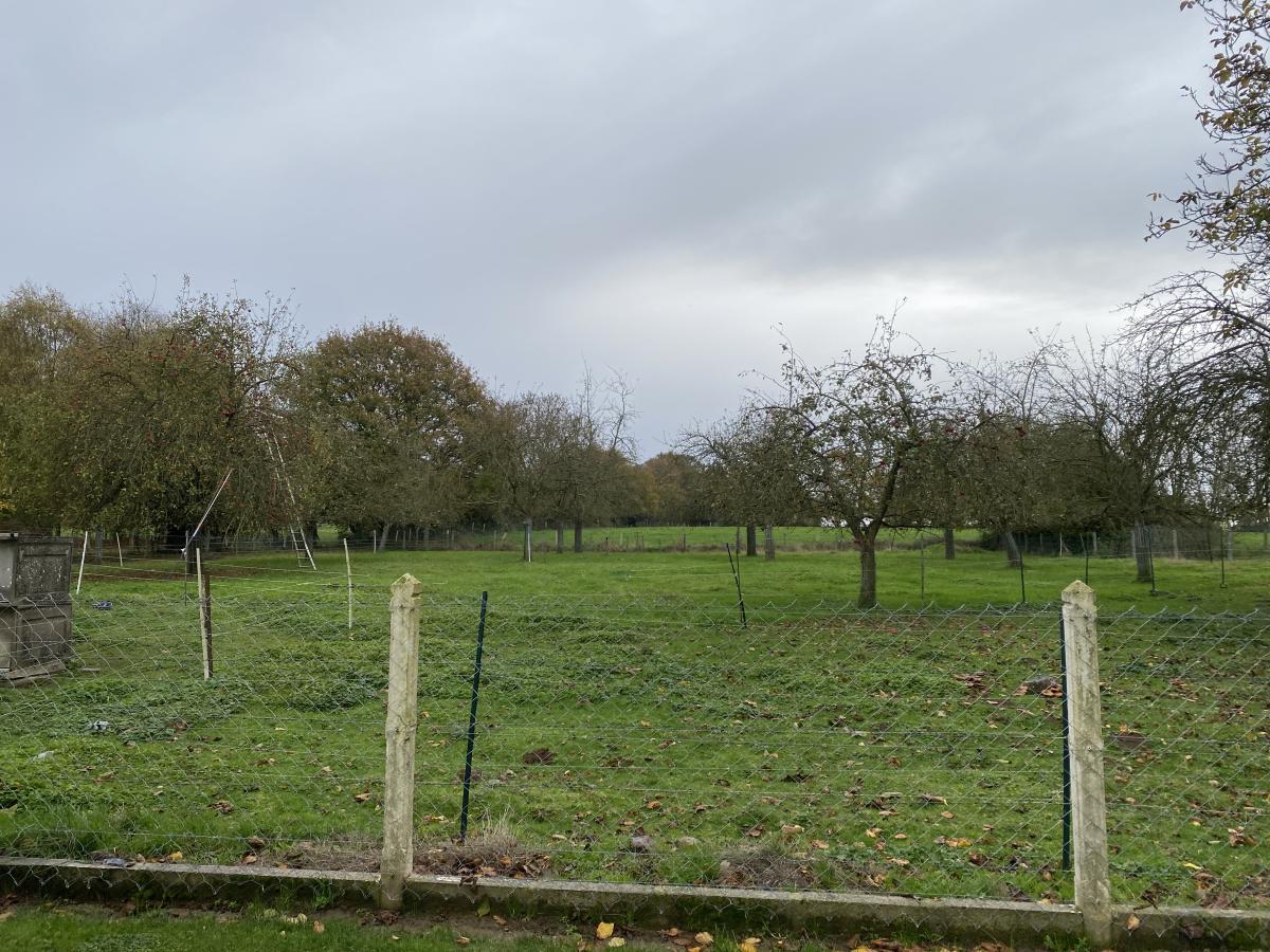 maison en Vente à Beaulieu (14350)