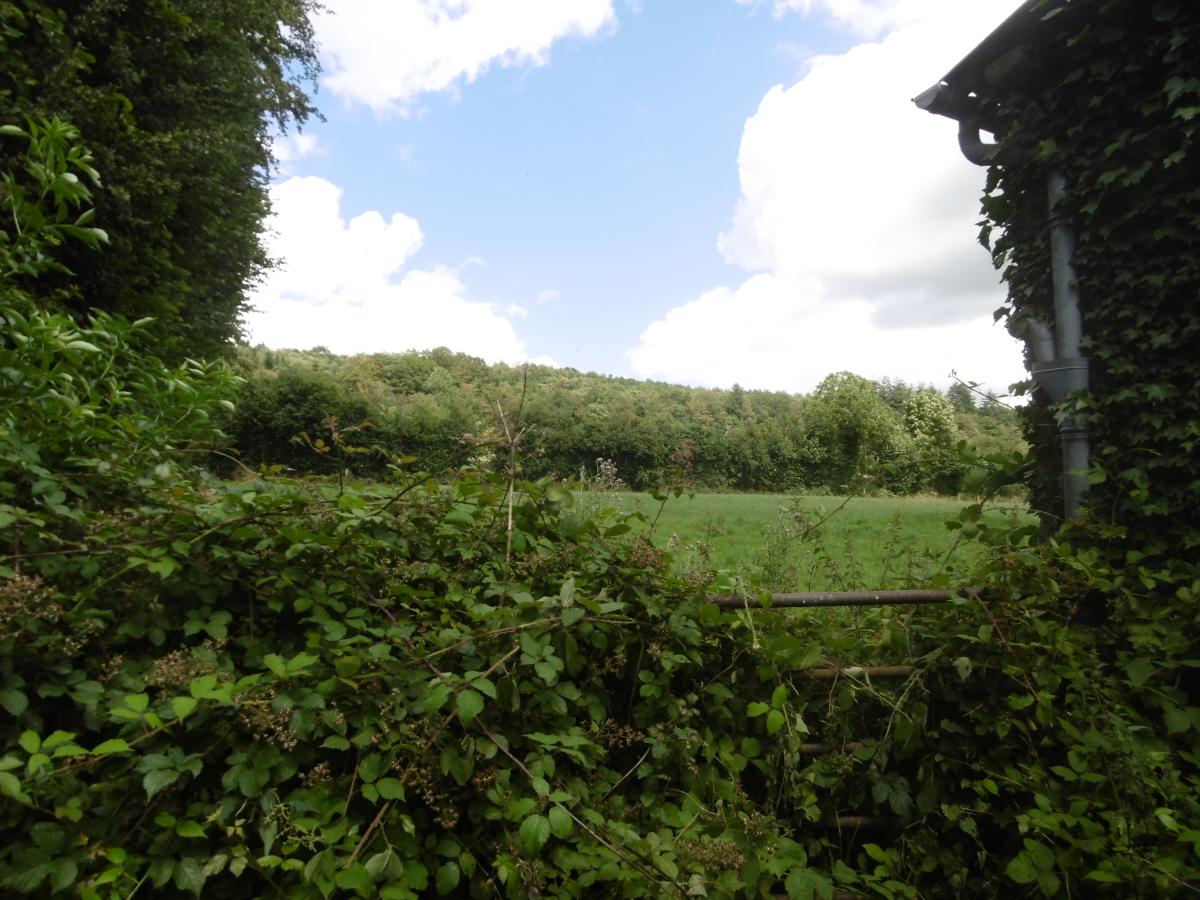 maison en Vente à Montchamp (14350)