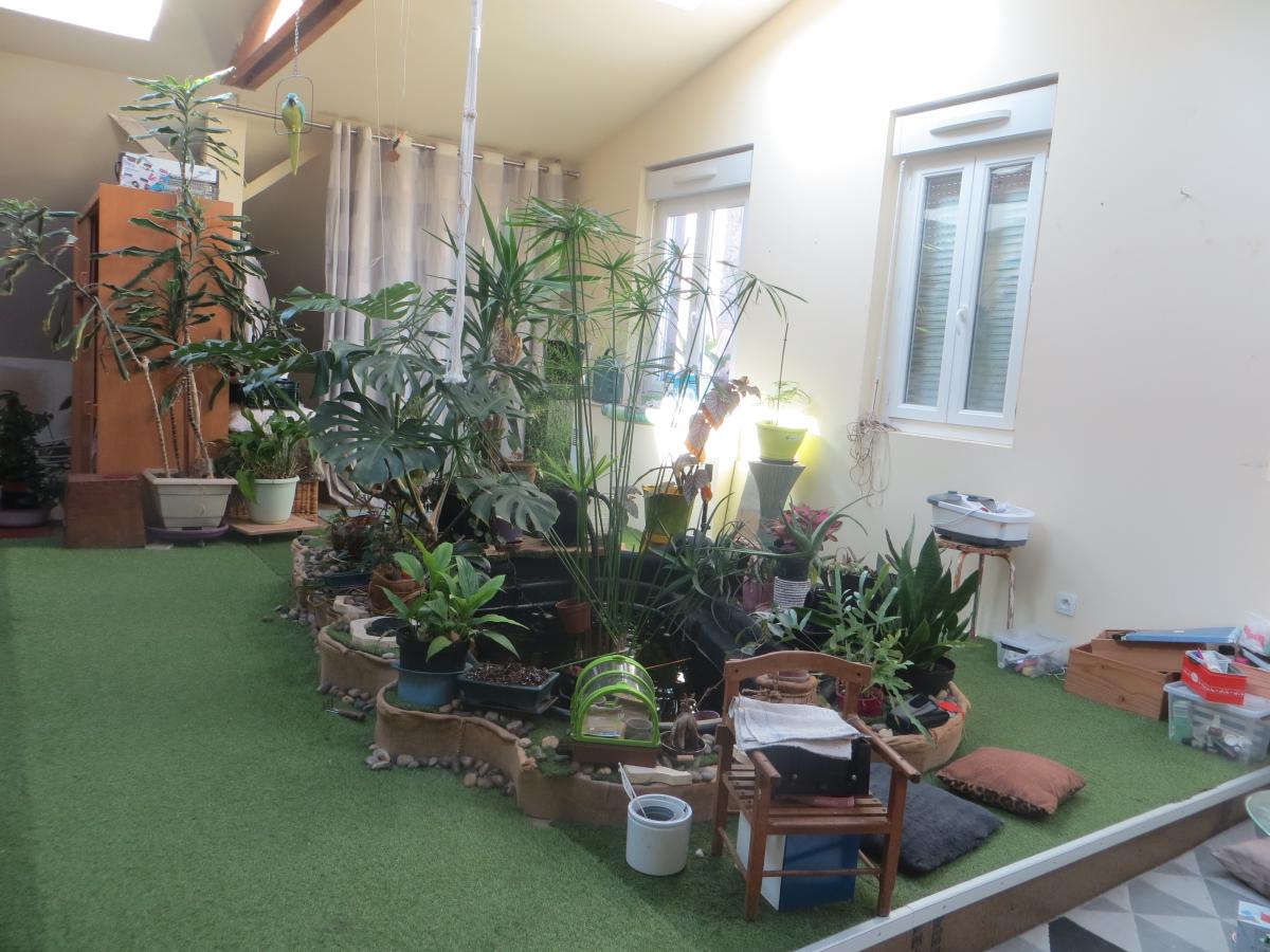 maison en Vente à Saint-Sever-Calvados (14380)