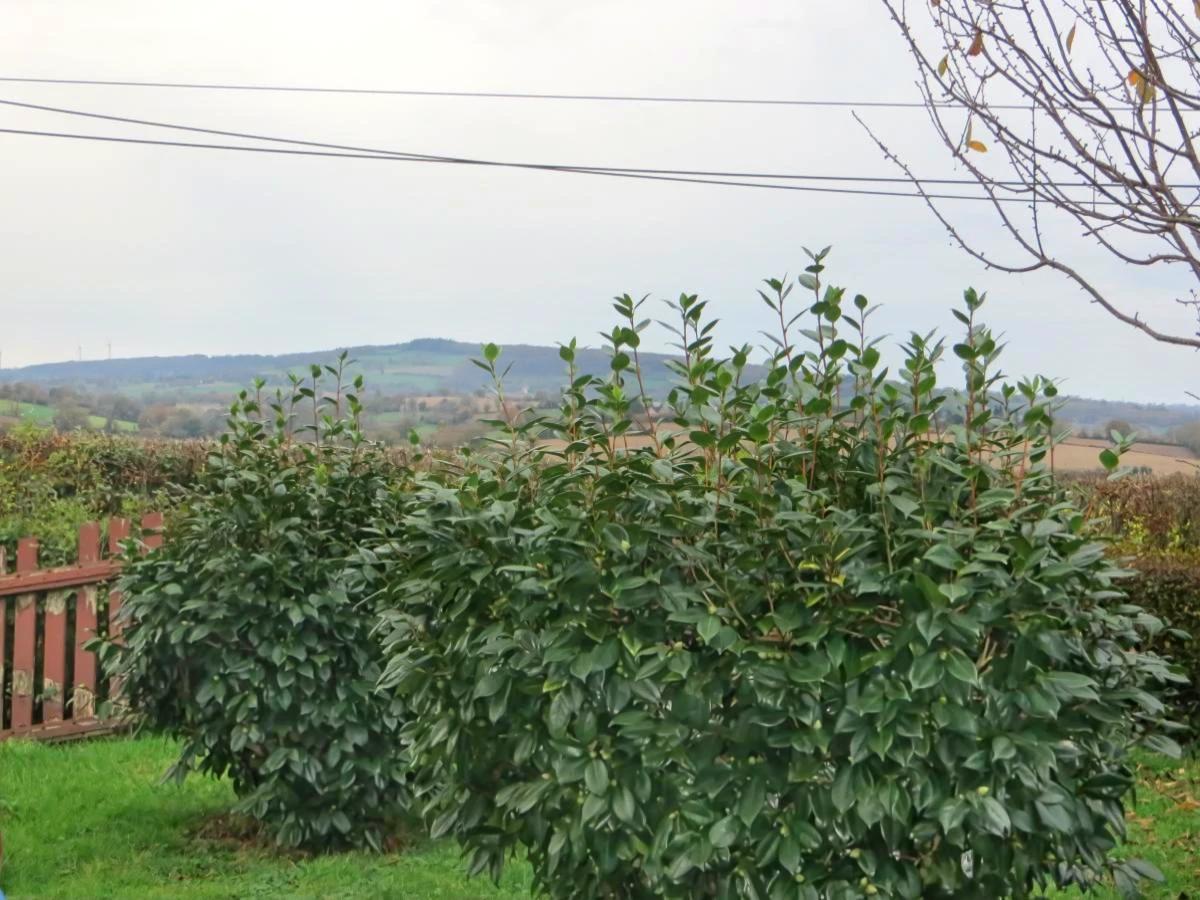 maison en Vente à Sainte-Marie-Outre-l&rsquo;Eau (14380)