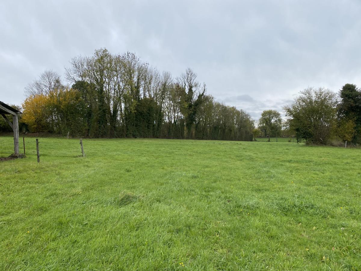 maison en Vente à Beaulieu (14350)