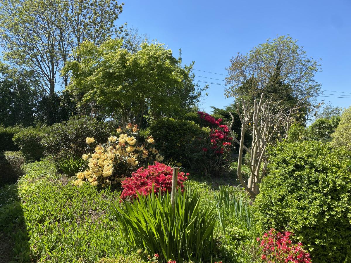 maison en Vente à Burcy (14410)