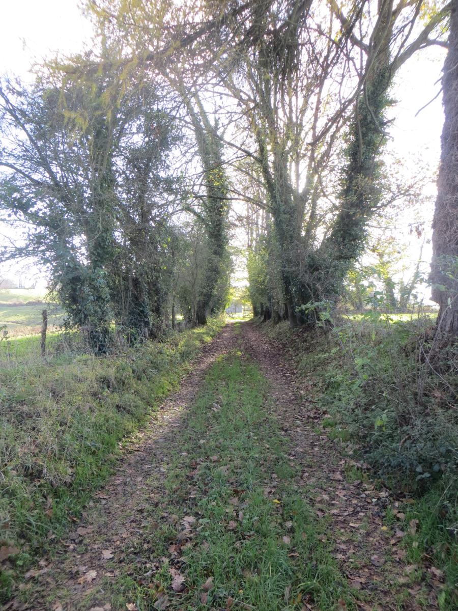 maison en Vente à Vire (14500)