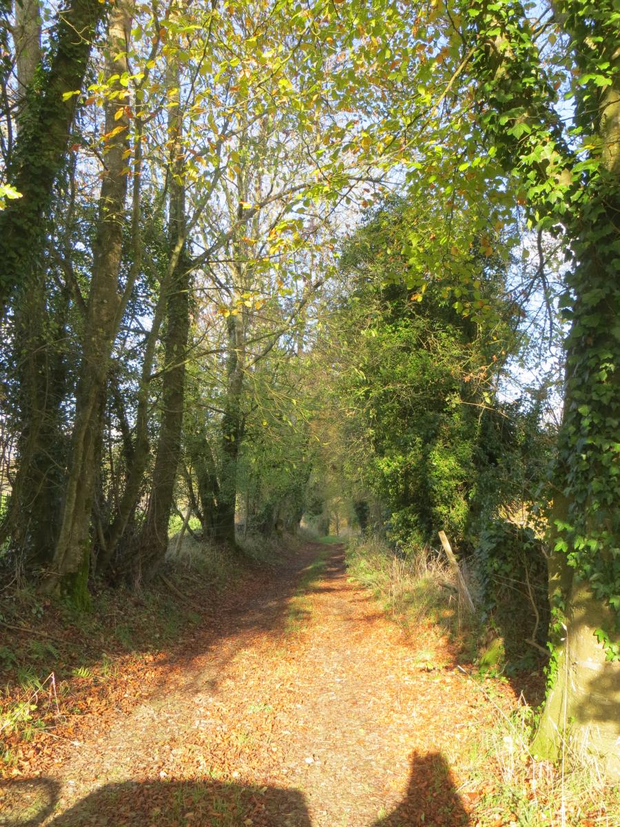 maison en Vente à Vire (14500)