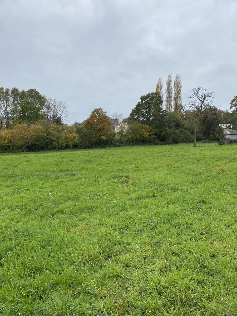 maison en Vente à Beaulieu (14350)