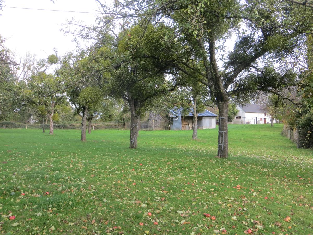 maison en Vente à Courson (14380)