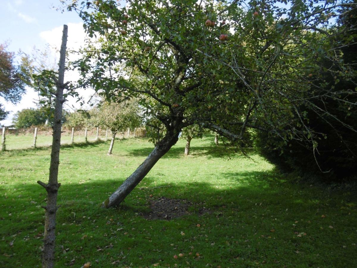 maison en Vente à Tinchebray-Bocage (61800)