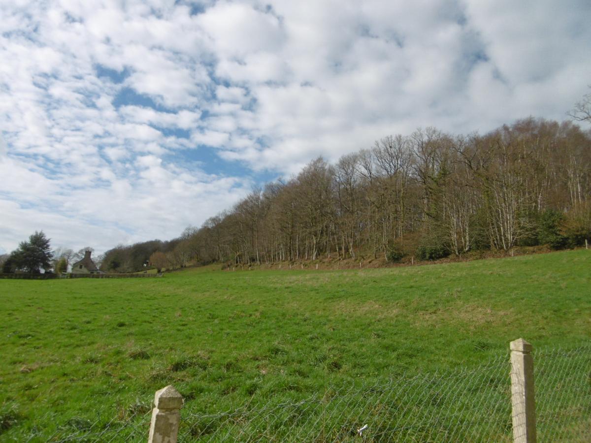 maison en Vente à Le Bény-Bocage (14350)